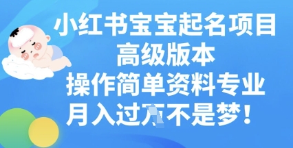 小红书宝宝起名项目高级版本，操作简单，资料专业，月入过W-青枫传媒