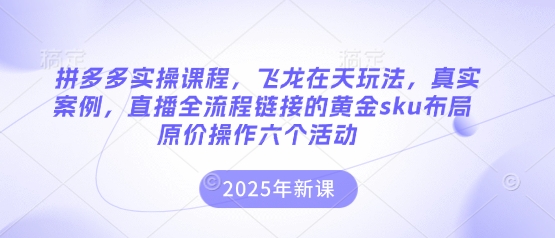 拼多多实操课程，飞龙在天玩法，真实案例，直播全流程链接的黄金sku布局原价操作六个活动-青枫传媒