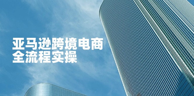 (14252期)亚马逊跨境电商全流程实操,教你从零开始,掌握店铺运营与广告技巧-青枫传媒