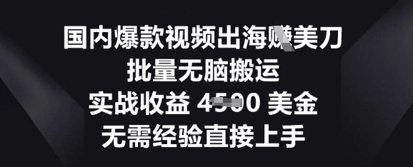 国内爆款视频出海挣美刀，批量无脑搬运，实战收益4.5k，无需经验直接上手-青枫传媒