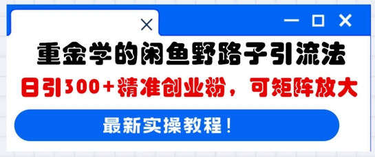 重金学的闲鱼野路子引流法,日引300+精准创业粉,可矩阵放大-青枫传媒