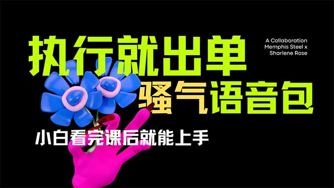 （14170期）爆火全网的开车导航骚气语音包,只要执行就出单，小白看完课程就能实操...-青枫传媒