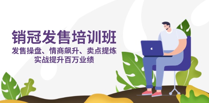 (14203期)销冠 发售培训班:发售 操盘+情商 飙升+卖点 提炼,实战提升百万业绩-青枫传媒