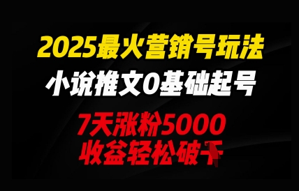 2025最火营销号玩法：小说推文0基础起号，7天涨粉5000，收益轻松破k-青枫传媒