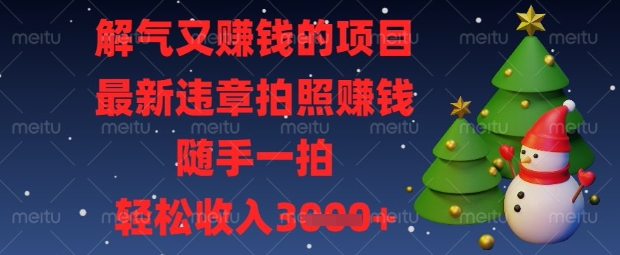 解气又挣钱的项目，最新违章拍照挣钱，随手一拍，轻松收入数张【揭秘】-青枫传媒