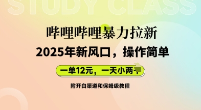 哔哩哔哩暴力拉新：2025年新风口，一单12元，一天数张(附开白渠道和保姆级教程)-青枫传媒